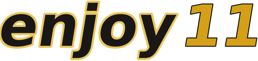 enjoy11 logo